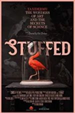 Watch Stuffed Fmovies