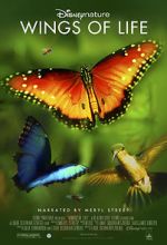 Watch Disneynature: Wings of Life Fmovies