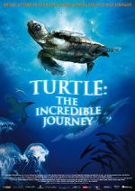 Watch Turtle: The Incredible Journey Fmovies