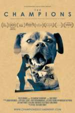 Watch The Champions Fmovies