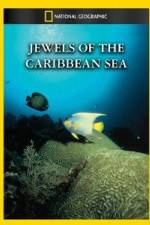 Watch National Geographic Jewels of the Caribbean Sea Fmovies