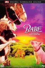 Watch Babe Fmovies