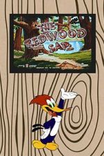 Watch The Redwood Sap (Short 1951) Fmovies