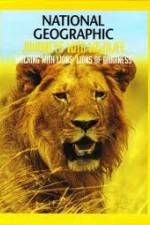 Watch National Geographic:  Walking with Lions Fmovies