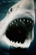 Watch Sharkmania: The Top 15 Biggest Baddest Bloodiest Bites Fmovies