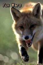 Watch Fox Wars Fmovies