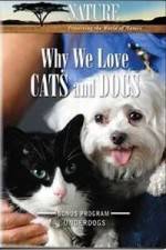 Watch Why We Love Cats And Dogs Fmovies