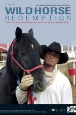 Watch The Wild Horse Redemption Fmovies