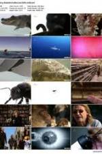 Watch History Channel Evolve: Sex Fmovies