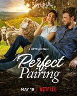 Watch A Perfect Pairing Fmovies
