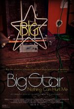 Watch Big Star: Nothing Can Hurt Me Fmovies