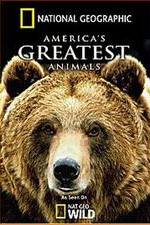Watch America's Greatest Animals Fmovies