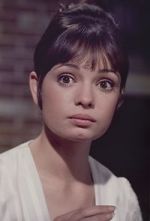 Watch Gidget Grows Up Fmovies