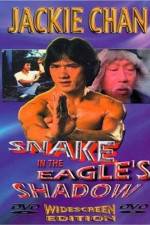 Watch Bruce Vs. Snake In Eagle's Shadow Fmovies