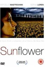 Watch Sunflower Fmovies