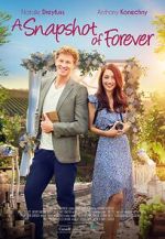 Watch A Snapshot of Forever Fmovies