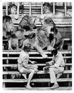 Watch Roar: The Most Dangerous Movie Ever Made Fmovies