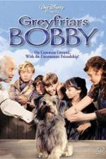 Watch Greyfriars Bobby The True Story of a Dog Fmovies