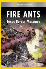 Watch National Geographic Fire Ants: Texas Border Massacre Fmovies
