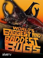 Watch World\'s Biggest and Baddest Bugs Fmovies