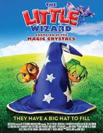 Watch The Little Wizard: Guardian of the Magic Crystals Fmovies