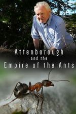 Watch Attenborough and the Empire of the Ants Fmovies