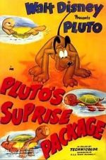 Watch Pluto\'s Surprise Package Fmovies