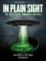 Watch In Plain Sight: The Intelligence Community and UFOs Fmovies