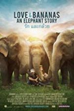 Watch Love & Bananas Fmovies