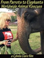 Watch From Parrots to Elephants: Worldwide Animal Rescues Fmovies