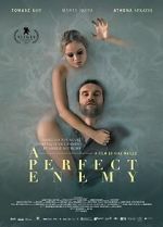 Watch A Perfect Enemy Fmovies