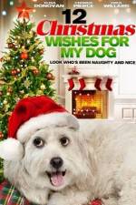Watch 12 Christmas Wishes For My Dog Fmovies