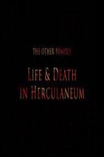 Watch The Other Pompeii Life & Death in Herculaneum Fmovies