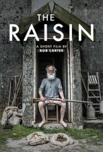 Watch The Raisin (Short 2017) Fmovies