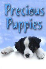 Watch Precious Puppies Fmovies