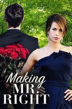 Watch Making Mr. Right Fmovies