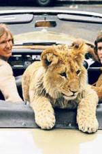 Watch The Lion Cub from Harrods Fmovies