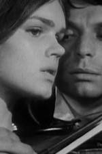 Watch Pavoncello Fmovies