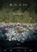 Watch Beginning Fmovies