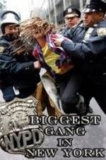 Watch NYPD: Biggest Gang in New York? Fmovies