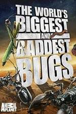 Watch Worlds Biggest and Baddest Bugs Fmovies