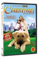 Watch Chestnut - Hero of Central Park Fmovies