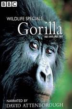Watch Gorilla Revisited with David Attenborough Fmovies