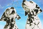 Watch 101 Dalmatians Sing Along Fmovies