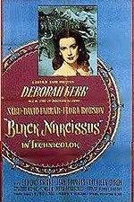 Watch Black Narcissus Fmovies