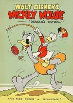 Watch Donald\'s Ostrich (Short 1937) Fmovies