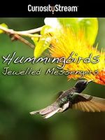 Watch Hummingbirds Jewelled Messengers Fmovies