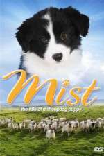 Watch Mist: The Tale of a Sheepdog Puppy Fmovies