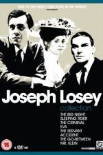 Watch The Big Night Fmovies