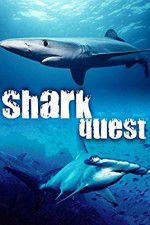 Watch Shark Quest Fmovies